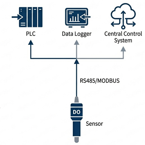 Sonde à fluorescence pour oxygène dissous