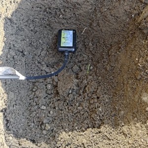 https://www.alibaba.com/product-detail/RS485-MODBUS-LORA-LORAWAN-915MHZ-868MHZ_1600379050091.html?spm=a2747.product_manager.0.0.232571d2i29D8O